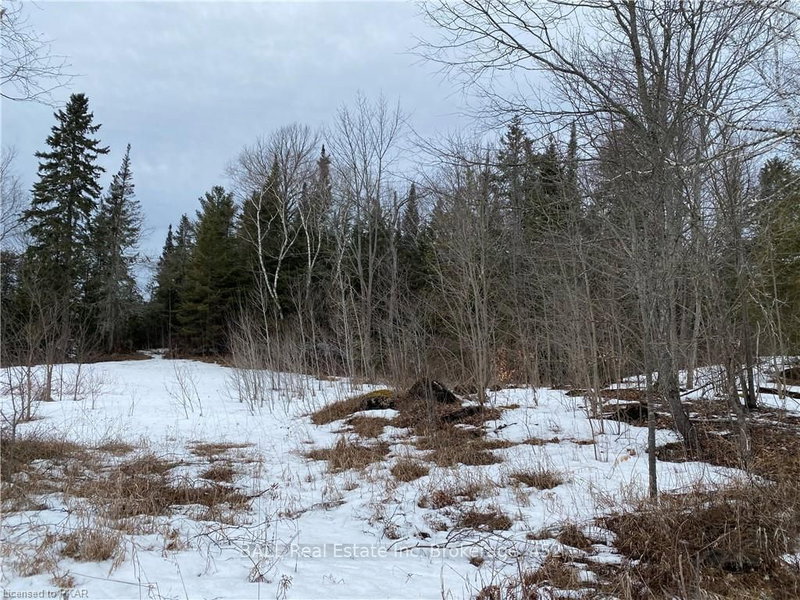 892 County Rd 40, Douro-Dummer, K0L 2V0 | Image 2