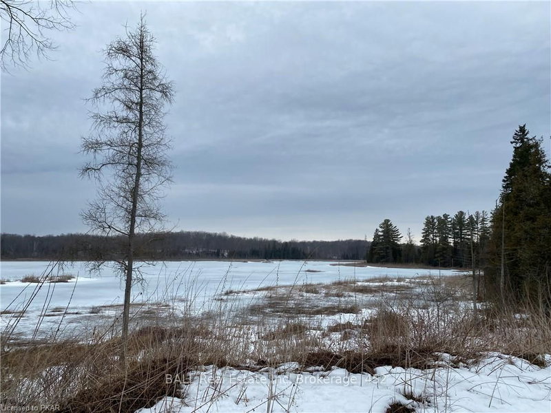 892 County Rd 40, Douro-Dummer, K0L 2V0 | Image 3