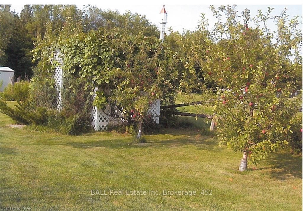 Listing Image 22