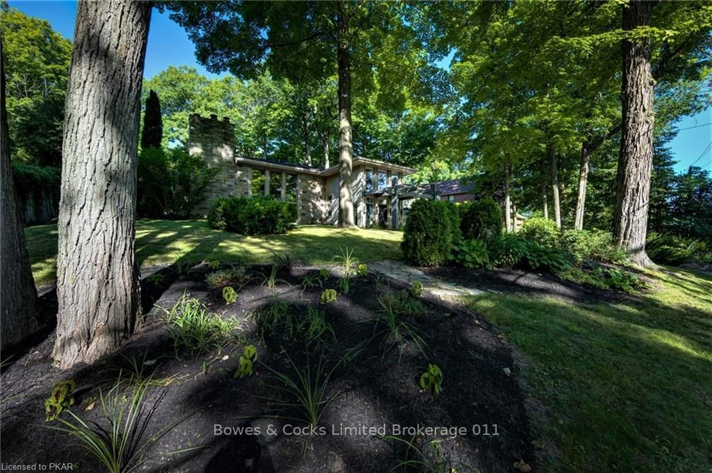 Listing Image 4