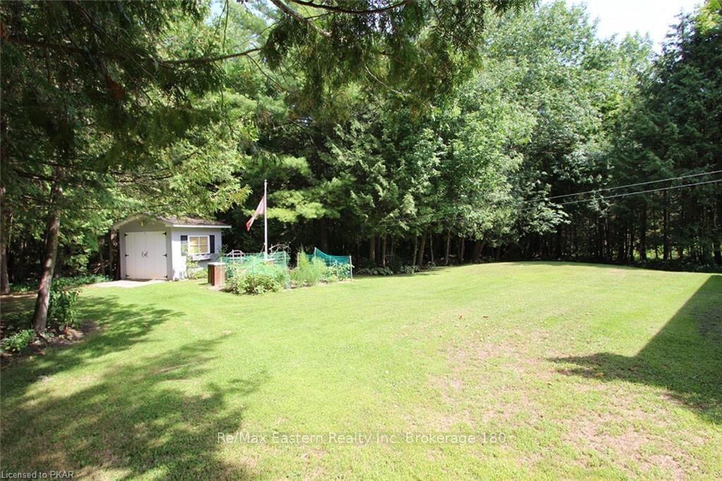 Listing Image 25