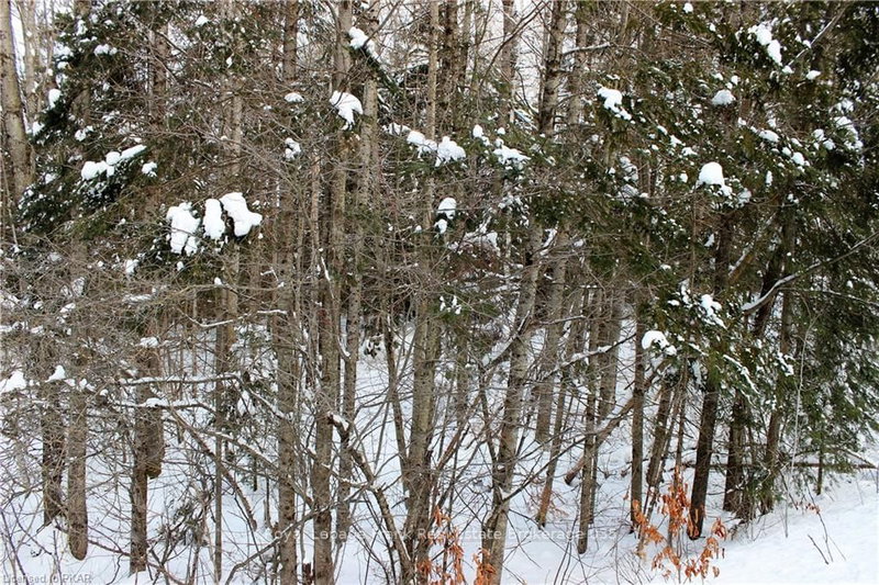 0 Quarry Rd, Bancroft, K0L 1C0 | Image 2