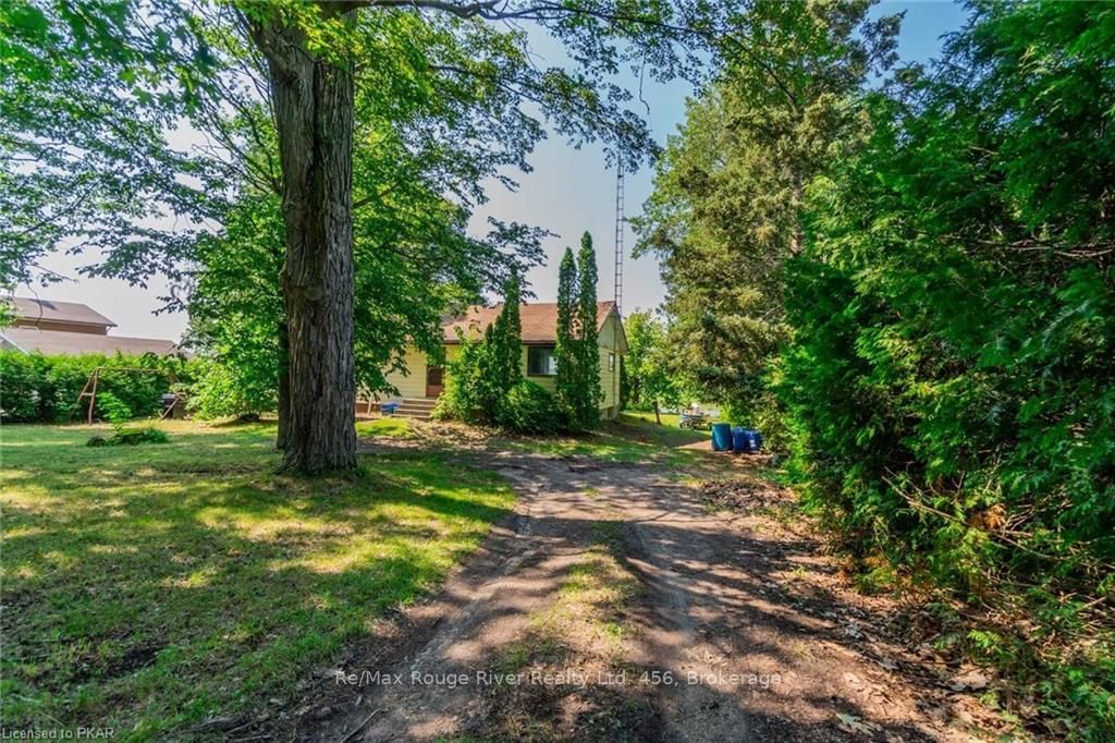 Listing Image 5