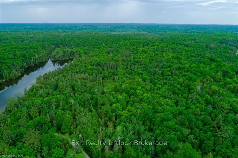 0 Johnson Rd, North Kawartha, K0L 1A0 | Image 3