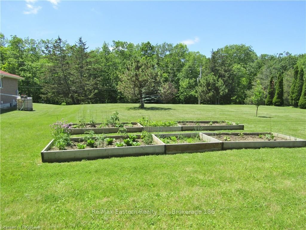 Listing Image 39