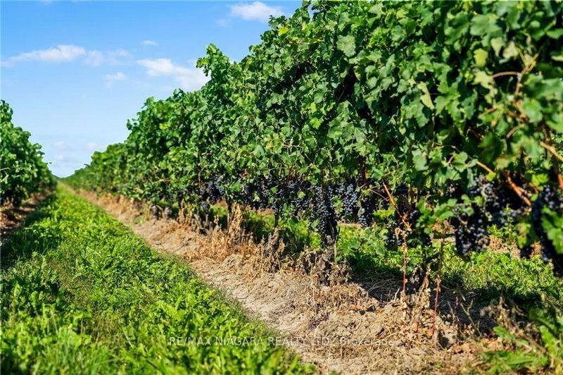 310 Eastchester Ave, Niagara-on-the-Lake, L0S 1J0 | Image 3