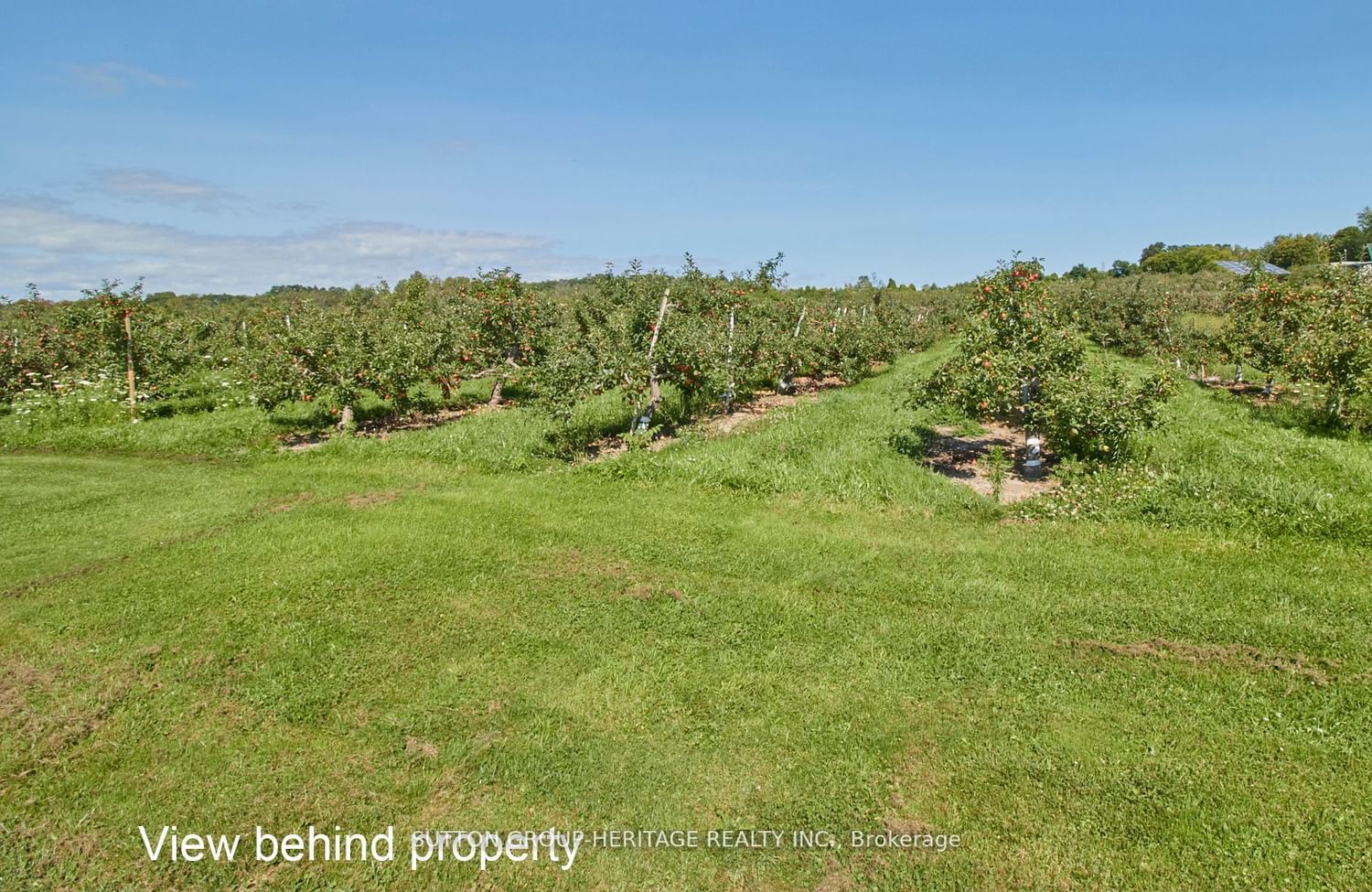 Listing Image 7