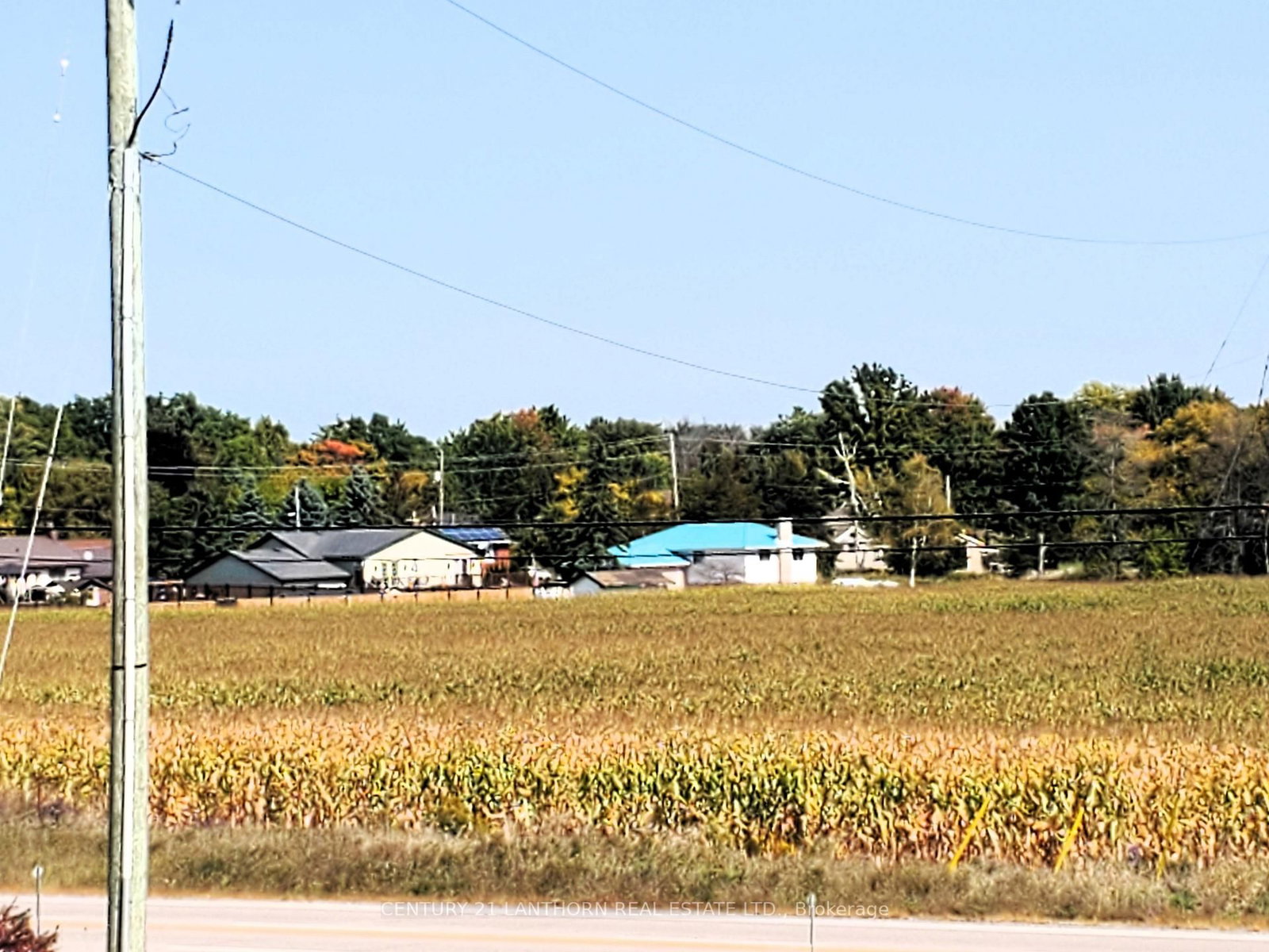 Listing Image 12