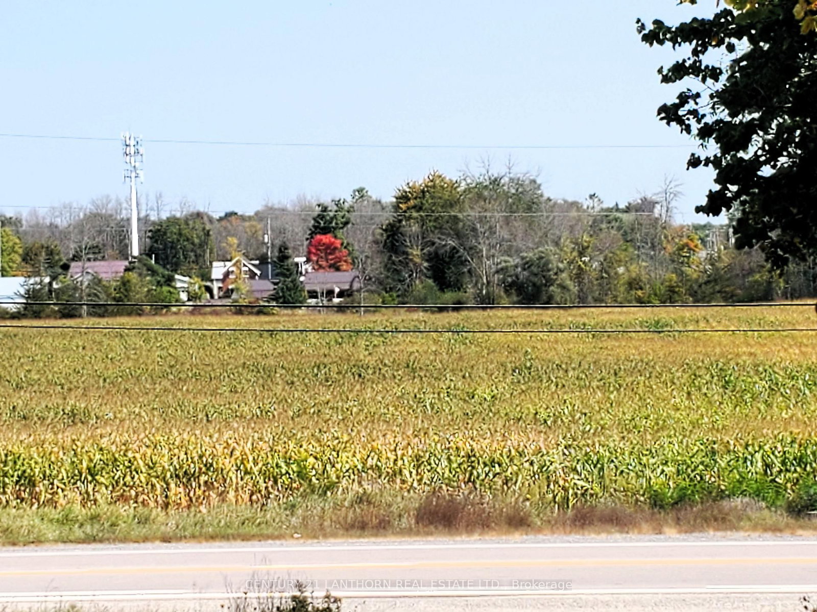 Listing Image 8