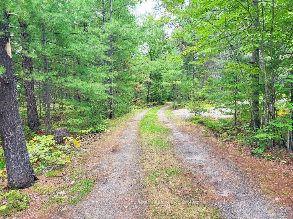 Detached House sold at 285 D Ruston Road, Nipissing Remote Area, P0H 1H0 - MLS: X7043766