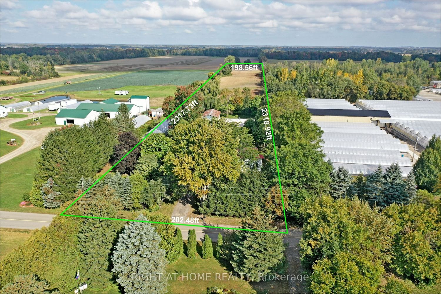 Listing Image 5