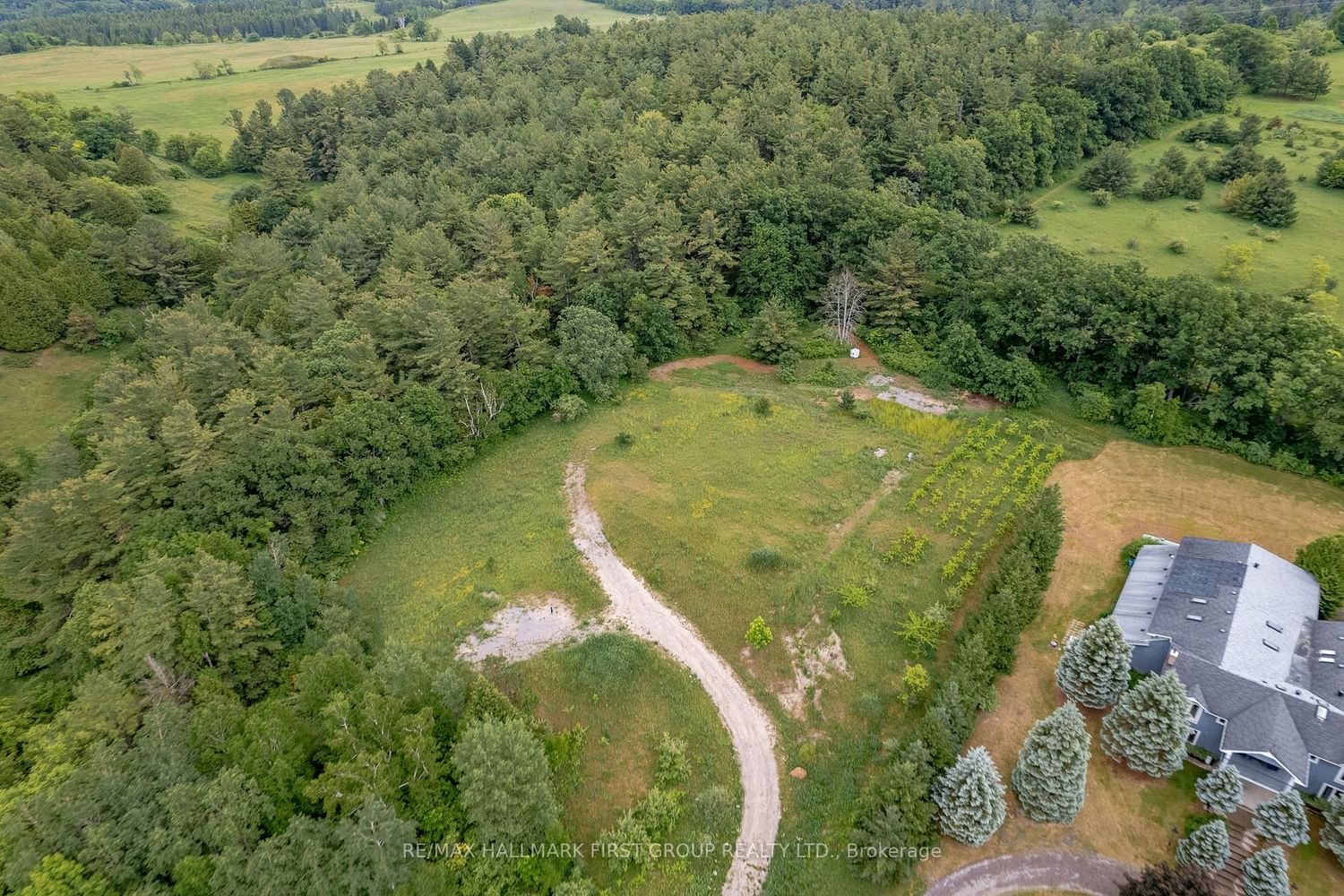 Listing Image 9