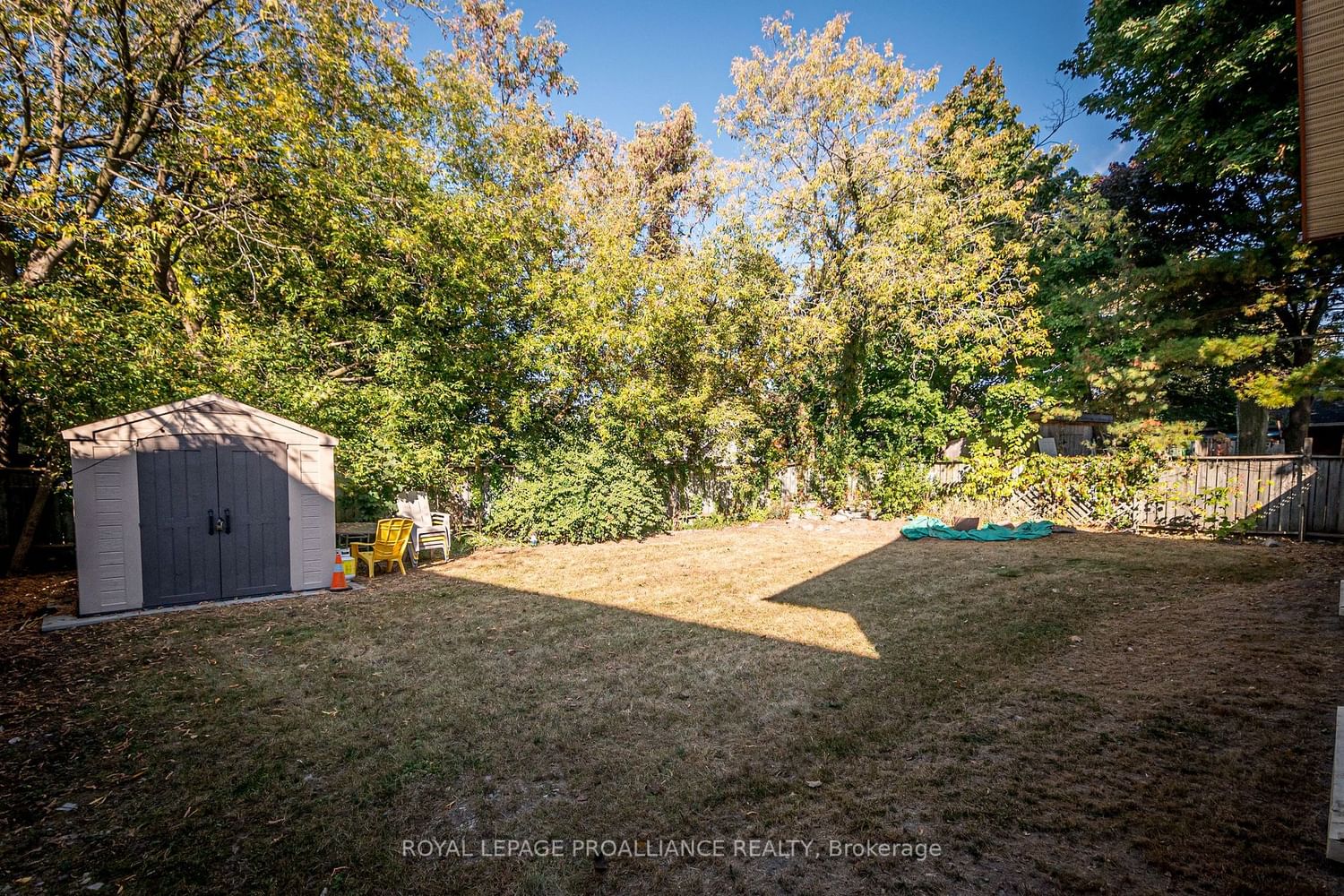 Listing Image 19