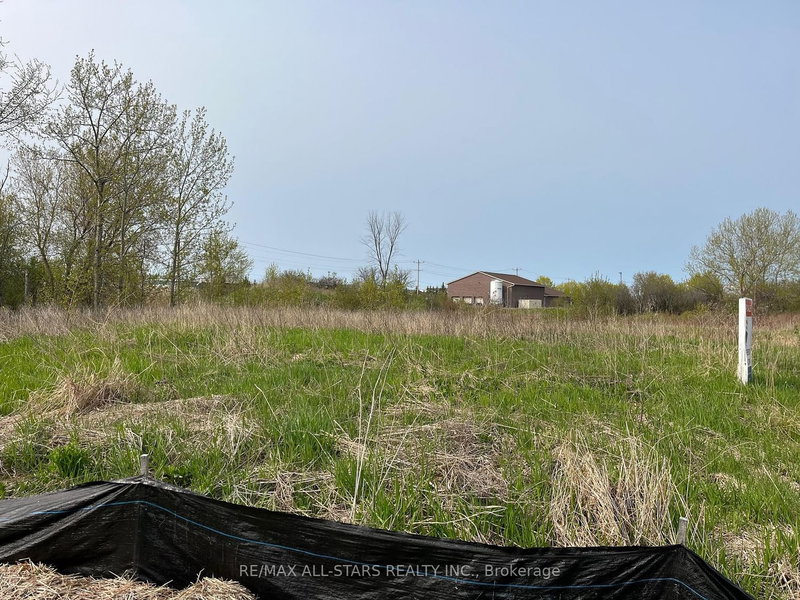 25 Commerce Rd, Kawartha Lakes, K9V 5Y3 | Image 2