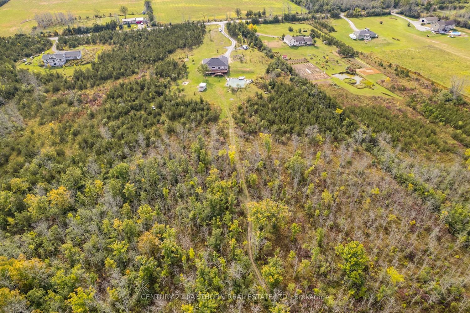 Listing Image 7