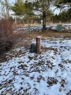 213 Pleasant Point Rd, Kawartha Lakes, K9V 4R6 | Image 2