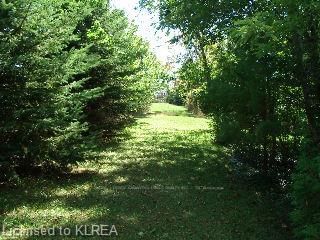 2020 Sturgeon Rd, Kawartha Lakes, K0M 1L0 | Image 3