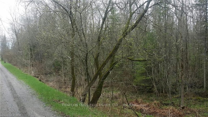 0 Burnt River Rd, Kawartha Lakes, K0M 1C0 | Image 2