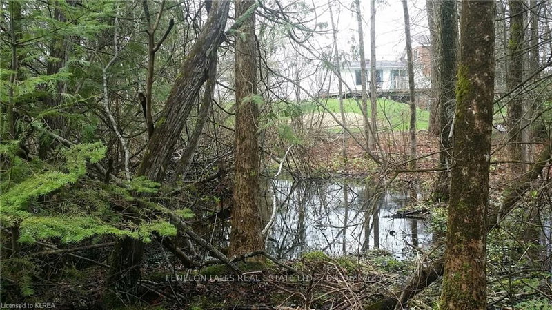 0 Burnt River Rd, Kawartha Lakes, K0M 1C0 | Image 3