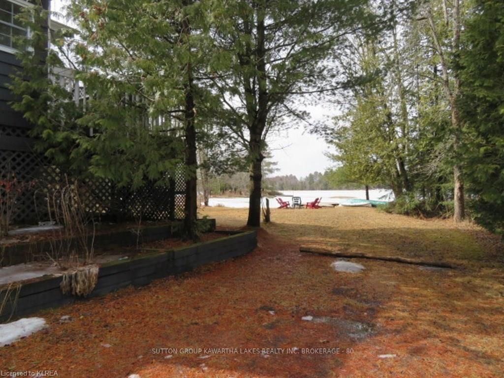 Listing Image 16