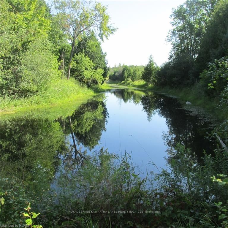Listing Image 34