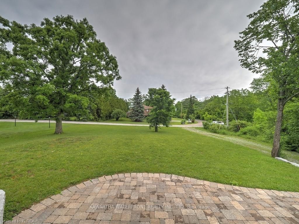 Listing Image 19