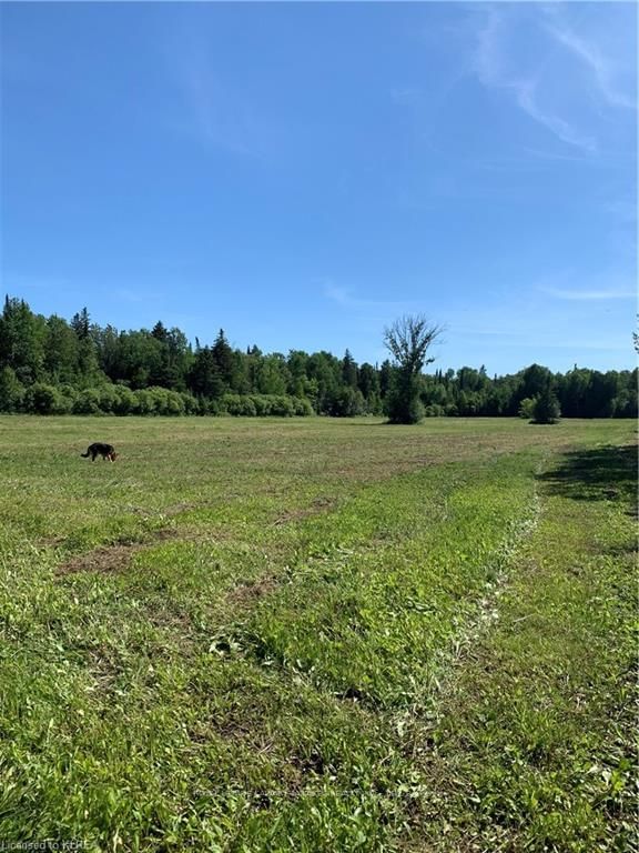 274 Highway 35, Kawartha Lakes, L0B 1K0 | Image 2