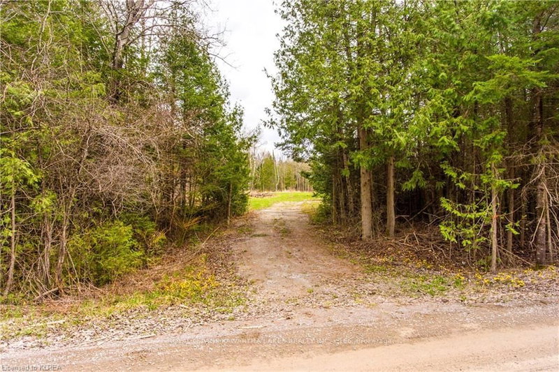 274 Highway 35, Kawartha Lakes, L0B 1K0 | Image 3