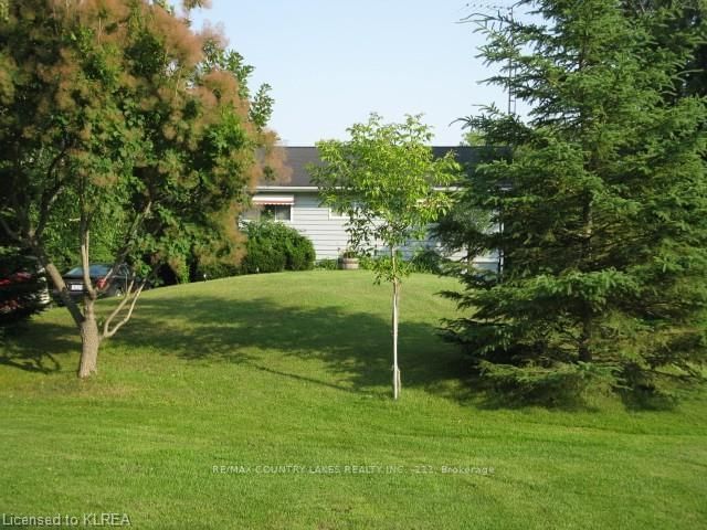 183 Mcguire Beach Rd, Kawartha Lakes, K0M 2B0 | Image 2