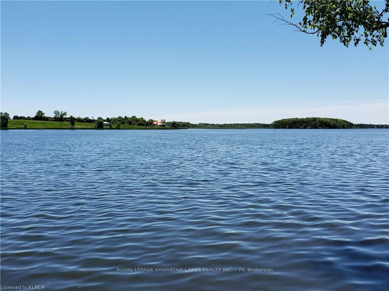 190 O'reilly Lane, Kawartha Lakes, K0M 2C0 | Image 3