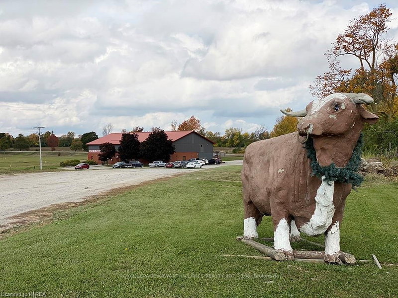 2133 Little Britain Rd, Kawartha Lakes, K9V 4R2 | Image 2