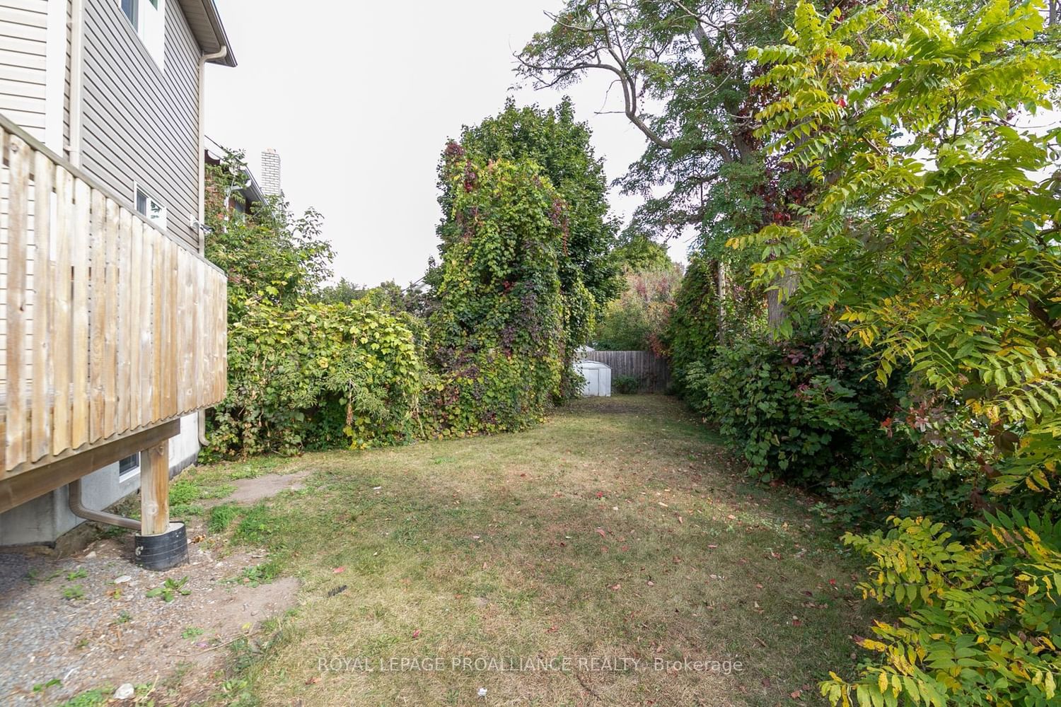 Listing Image 20