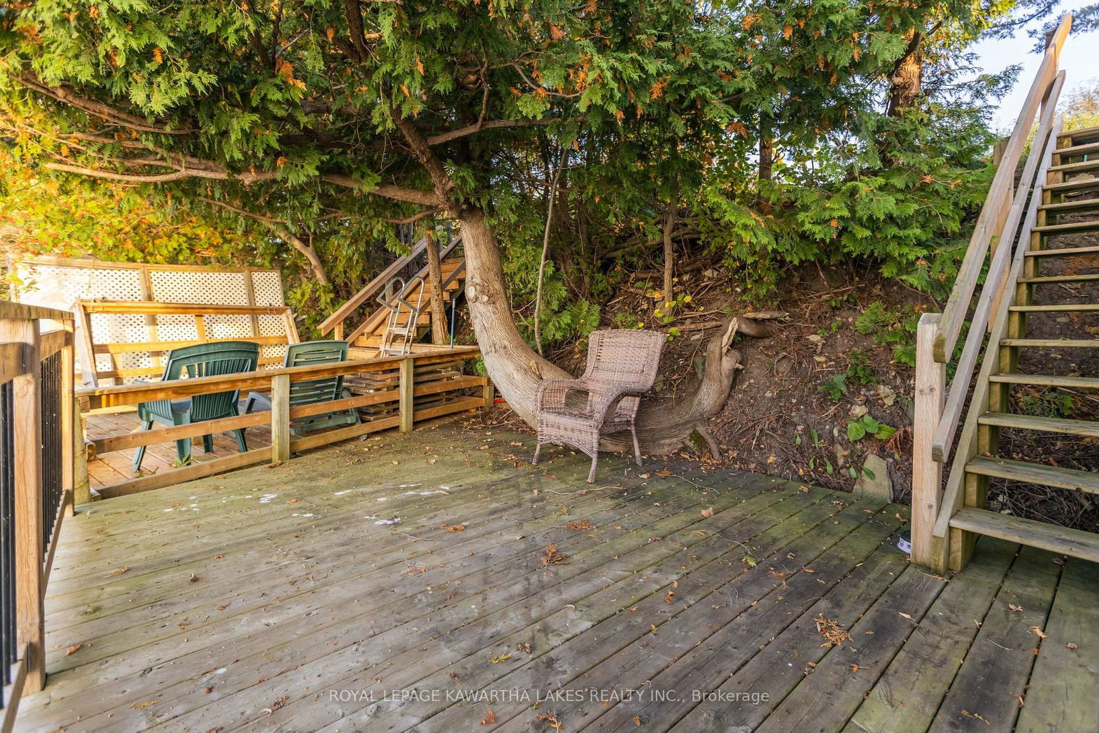Listing Image 5