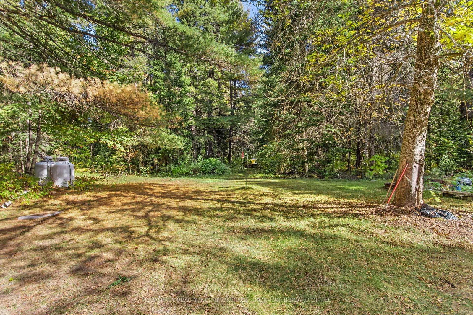 Listing Image 24