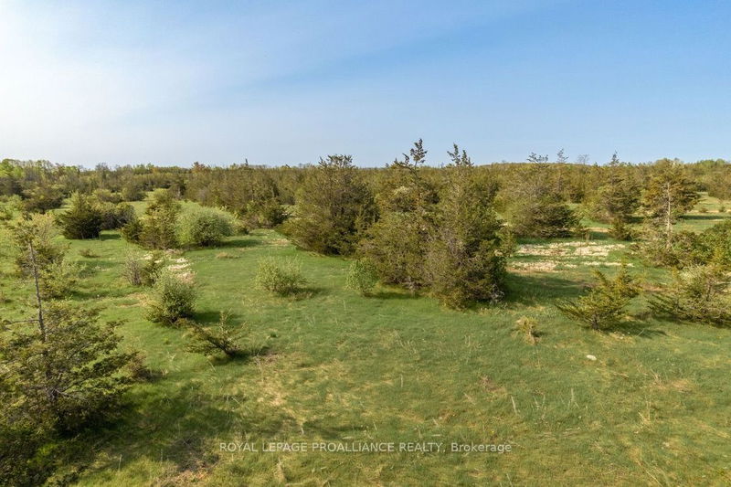 PtLt36 Enright Rd  Tyendinaga, K0K 2N0 | Image 21