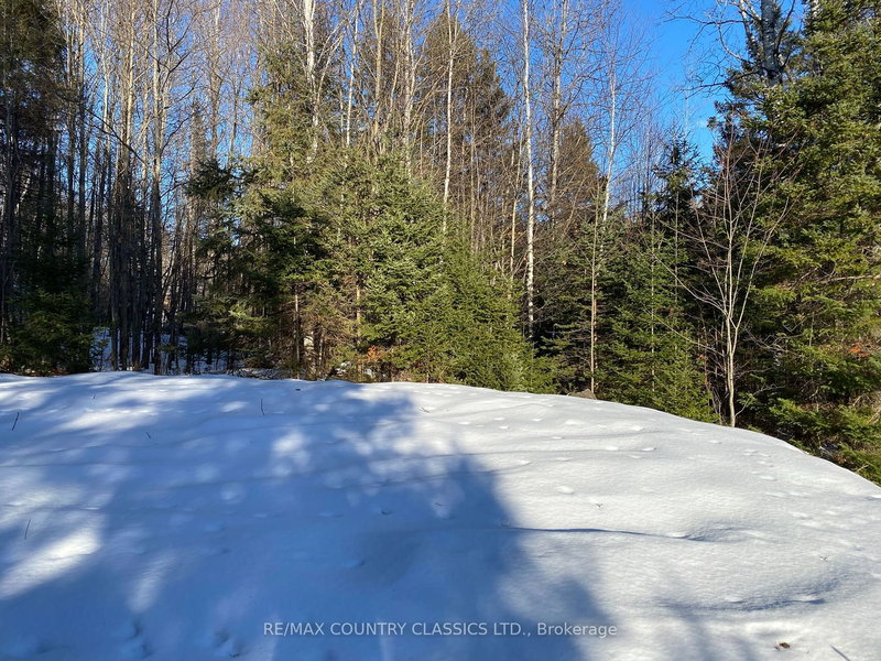 178 Gaebel Rd, Bancroft, K0L 1C0 | Image 3