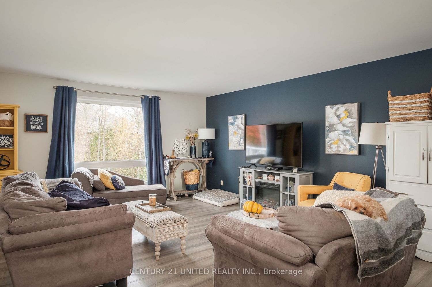 Listing Image 9