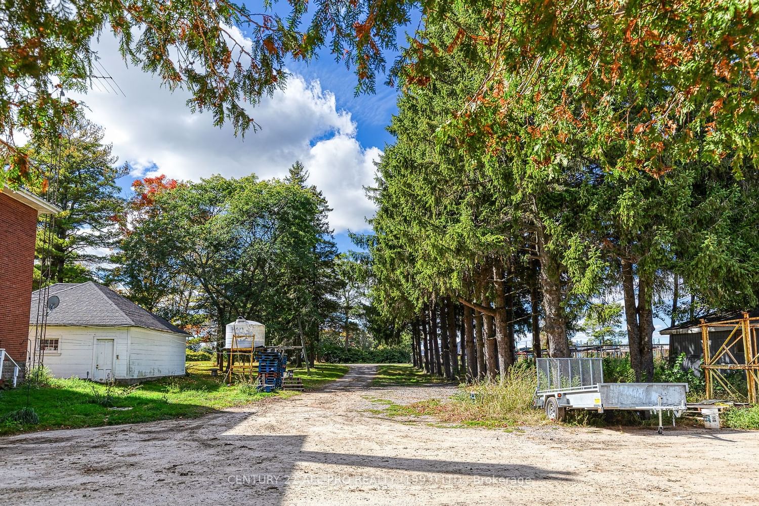 Listing Image 7