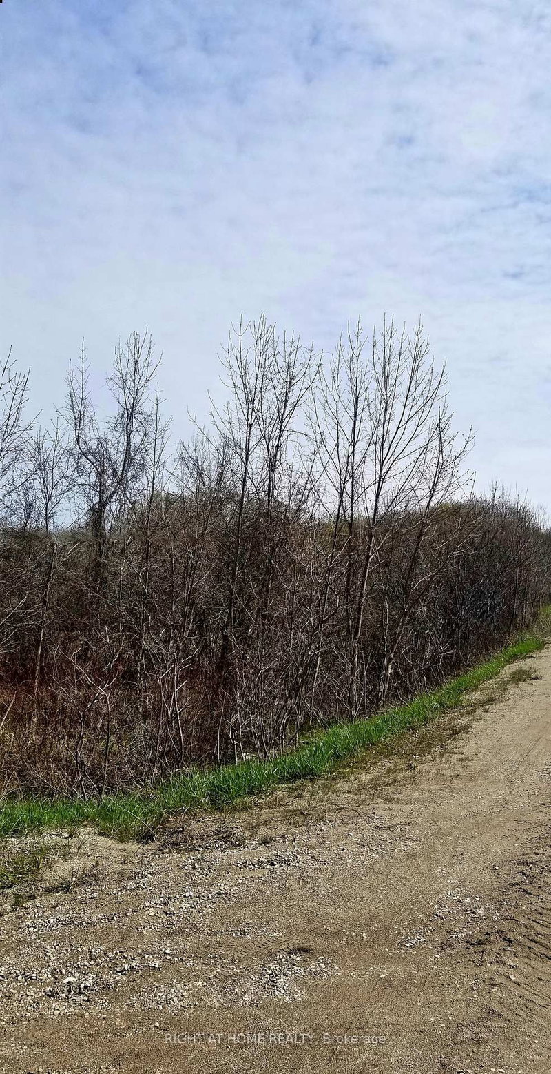 000 Grey County 19 Rd, Blue Mountains, L9Y 0N5 | Image 3