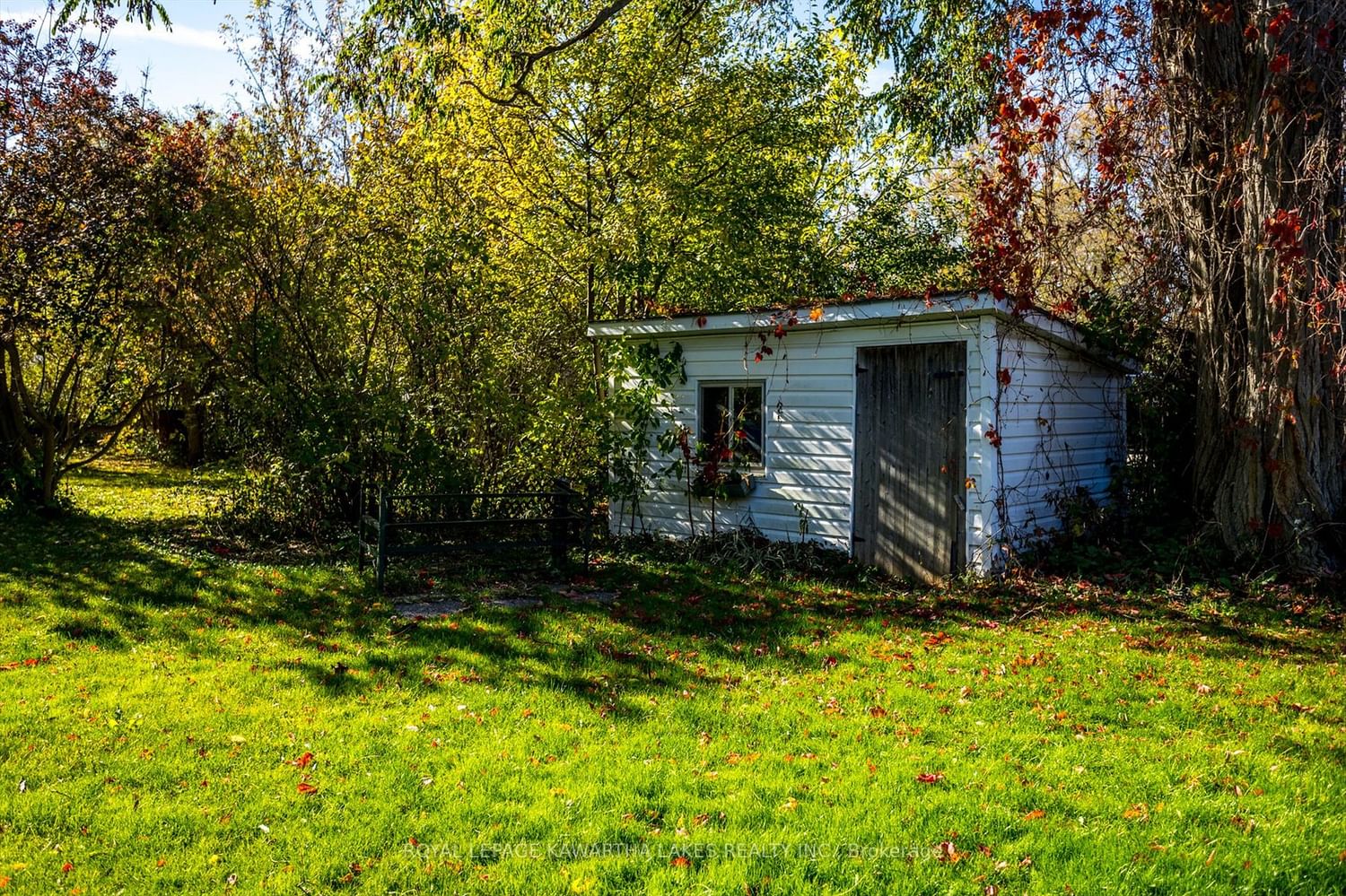 Listing Image 32