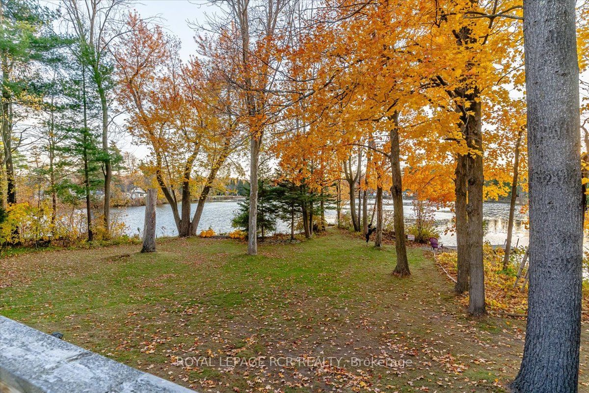 Listing Image 37