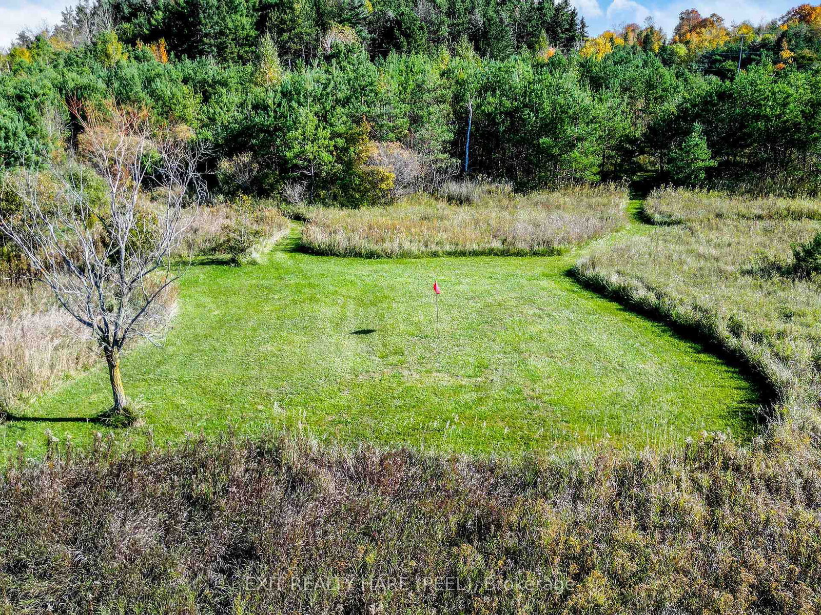Listing Image 32