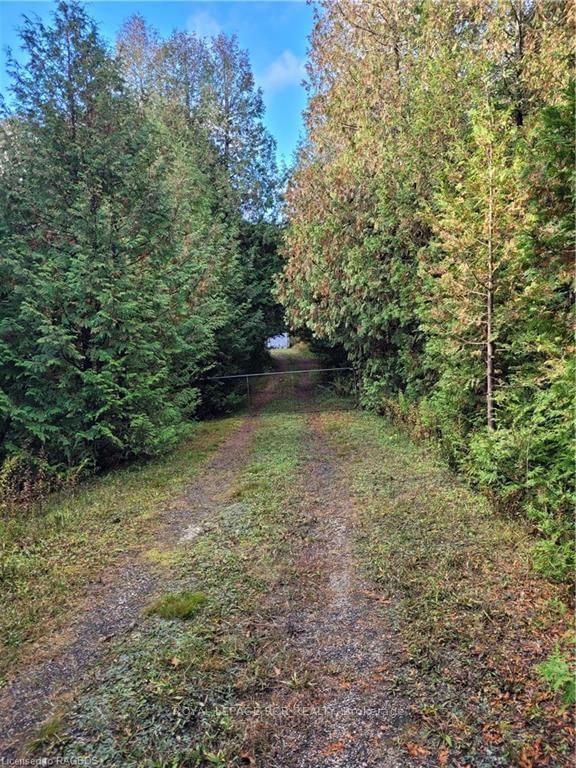 88 Pt Lot Highway 10   West Grey, N0C 1H0 | Image 1