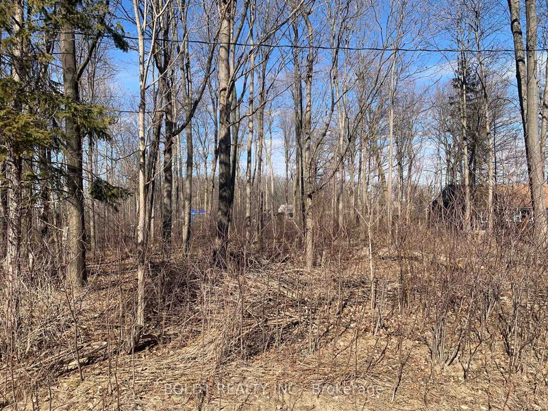 0 Garrison Rd, Fort Erie, L0S 1N0 | Image 2