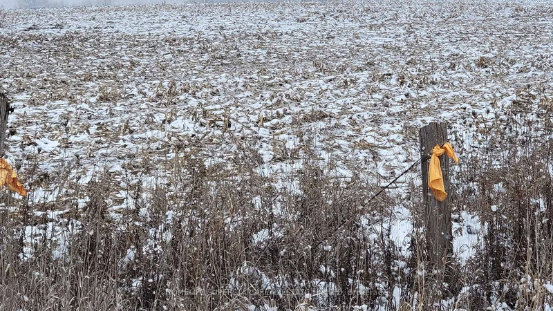 214131 10th Line, Amaranth, L9V 1K1 | Image 3