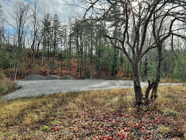 1532 O'Hara Road