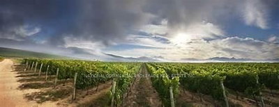 44-55 Niagara Stone Rd | Niagara-on-the-Lake | Image