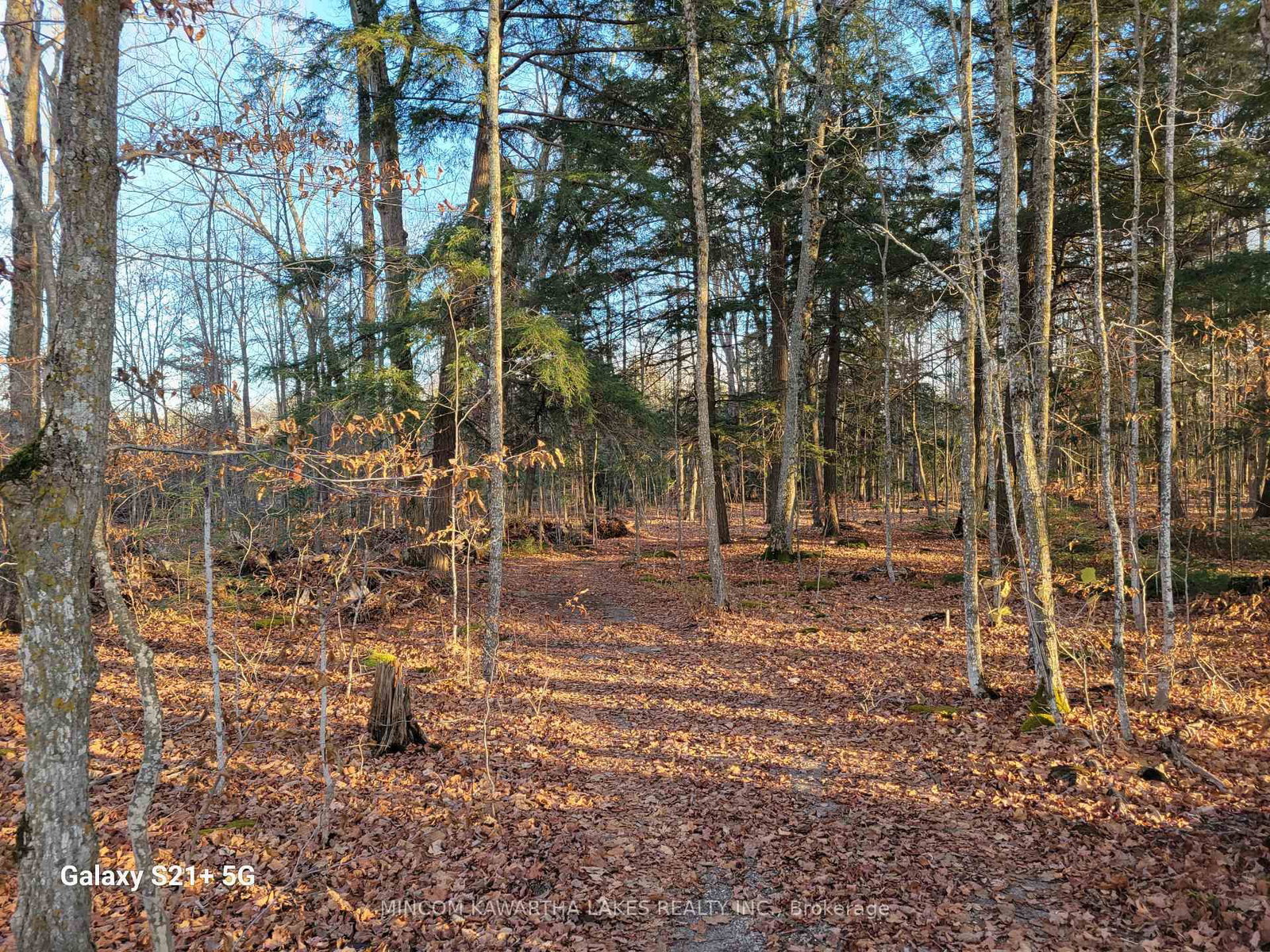 Listing Image 3