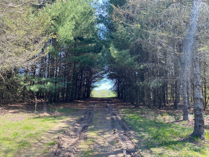 home for sale on 0000 Concession Rd 2 East Road