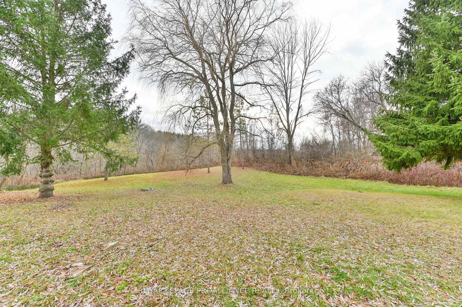 Listing Image 29
